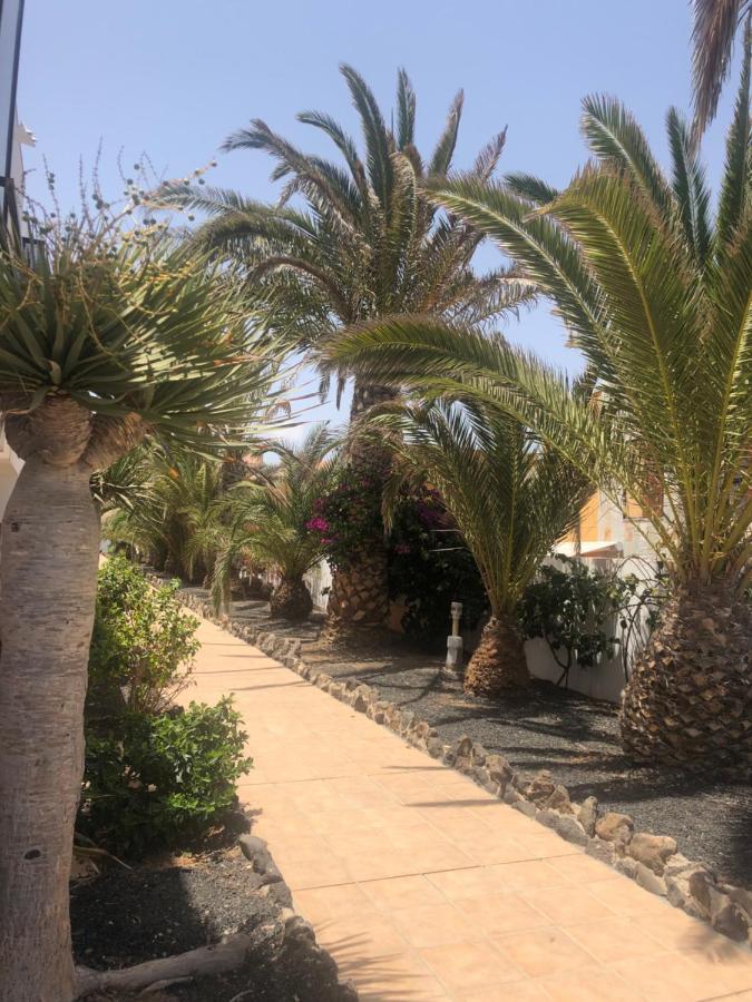 Apartamento Smile Complex Amaya Fuerteventura Costa De Antigua Zewnętrze zdjęcie