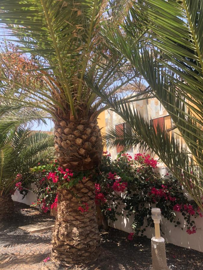 Apartamento Smile Complex Amaya Fuerteventura Costa De Antigua Zewnętrze zdjęcie